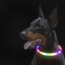Load image into Gallery viewer, HiFuzzyPet Light Up Dog Collar for Night Walking