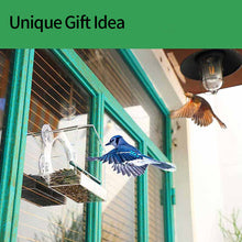 Load image into Gallery viewer, HiFuzzyPet Window Bird Feeder,Wild Bird Feeders with 4 Super Strong Suction