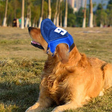 Load image into Gallery viewer, HiFuzzyPet G Pattern Dog Hat Pet Baseball Cap