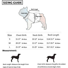 Load image into Gallery viewer, HiFuzzyPet Reflective Dog Safety Vest for Day or Night Outdoor Activity