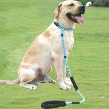 Load image into Gallery viewer, HiFuzzyPet Reflective Dog Slip Leashes with Handle