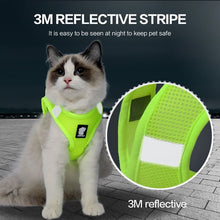 Load image into Gallery viewer, HiFuzzyPet Air Mesh Cat Harness and Leash Set