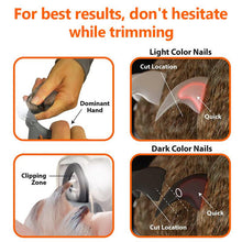 Load image into Gallery viewer, HiFuzzyPet Professional LED Dog Nail Clippers Scissors
