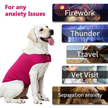Load image into Gallery viewer, HiFuzzyPet Dog Anxiety Relief Vest for Thunderstorm & Fireworks