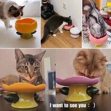 Load image into Gallery viewer, HiFuzzyPet Flower Shape Ceramic Raised Cat Bowl