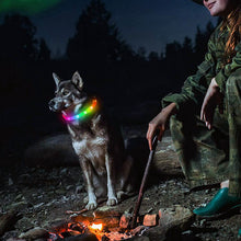 Load image into Gallery viewer, HiFuzzyPet Light Up Dog Collar for Night Walking