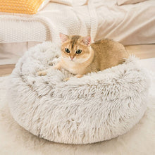 Load image into Gallery viewer, brown bear cat bed with hooded