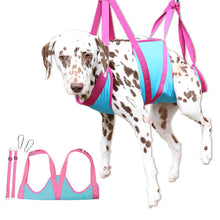 Load image into Gallery viewer, HiFuzzyPet Breathable Dog Grooming Hommack, Pet Hammock Restraint Bag