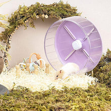 Load image into Gallery viewer, HiFuzzyPet Candy-Color Silent Hamster Wheel Exercise