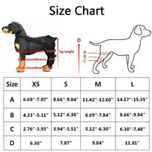Load image into Gallery viewer, HiFuzzyPet Adjustable Rear Dog Leg Brace