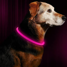Load image into Gallery viewer, HiFuzzyPet Light Up Dog Collar for Night Walking