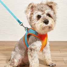 Load image into Gallery viewer, HiFuzzyPet Summer Vest Style Cat Harness and Leash Set
