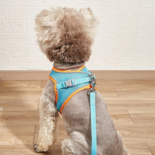 Load image into Gallery viewer, HiFuzzyPet Summer Vest Style Cat Harness and Leash Set