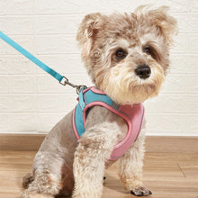 Load image into Gallery viewer, HiFuzzyPet Summer Vest Style Cat Harness and Leash Set