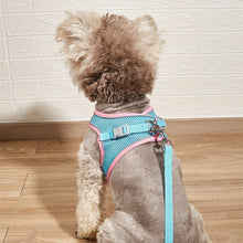 Load image into Gallery viewer, HiFuzzyPet Summer Vest Style Cat Harness and Leash Set