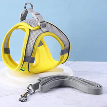 Load image into Gallery viewer, HiFuzzyPet Summer Vest Style Cat Harness and Leash Set