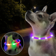 Load image into Gallery viewer, HiFuzzyPet Light Up Dog Collar for Night Walking
