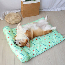 Load image into Gallery viewer, HiFuzzyPet Washable Cooling Dog Bed with Pillow