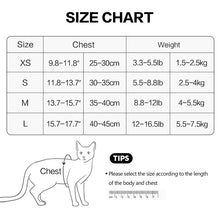 Load image into Gallery viewer, HiFuzzyPet Air Mesh Cat Harness and Leash Set