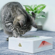 Load image into Gallery viewer, HiFuzzyPet Reachargeable Interactive Cat Toys, Pet Feather Toy