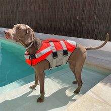 Load image into Gallery viewer, HiFuzzyPet Bright Color Dog Life Jacket Pet Floatation Vest