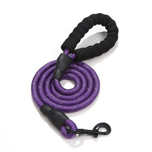 Load image into Gallery viewer, HiFuzzyPet Nylon Reflective Dog Leash