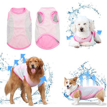 Load image into Gallery viewer, pink dog cooling vest