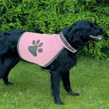 Load image into Gallery viewer, HiFuzzyPet Reflective Dog Safety Vest for Day or Night Outdoor Activity