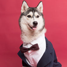 Load image into Gallery viewer, HiFuzzyPet Dog Tuxedo Costume & Dress for Wedding