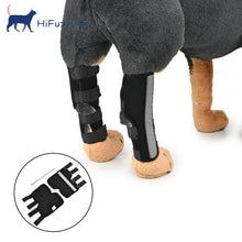 Load image into Gallery viewer, HiFuzzyPet Dog Knee Brace with Safety Reflective Straps