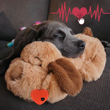 Load image into Gallery viewer, HiFuzzyPet Heartbeat Pet Plush Toy for Separation Anxiety