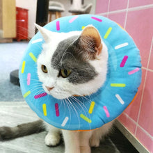 Load image into Gallery viewer, A-blue donut cat cone