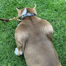 Load image into Gallery viewer, HiFuzzyPet Leather Spiked Dog Collar for Middle & Large Dogs