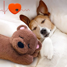 Load image into Gallery viewer, HiFuzzyPet Heartbeat Pet Plush Toy for Separation Anxiety