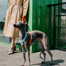 Load image into Gallery viewer, HiFuzzyPet Rainbow Easy Walk Harness for Runs, Walks, Hikes