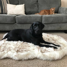 Load image into Gallery viewer, HiFuzzyPet Faux Fur Orthopedic Dog Rug