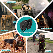 Load image into Gallery viewer, Using dog earmuffs in multiple scenes