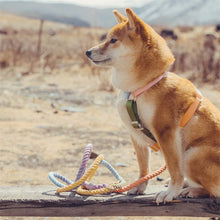 Load image into Gallery viewer, HiFuzzyPet Rainbow Easy Walk Harness for Runs, Walks, Hikes