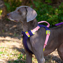 Load image into Gallery viewer, HiFuzzyPet Adjustable No Pull Dog Vest Harness
