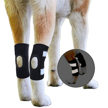 Load image into Gallery viewer, HiFuzzyPet 2-Pack Rear Dog Leg Hock Brace with Reflective Straps