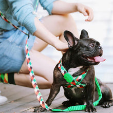 Load image into Gallery viewer, HiFuzzyPet Multifunctional 3 in 1 Hands Free Dog Leashes