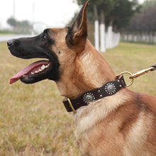 Load image into Gallery viewer, HiFuzzyPet Leather Spiked Dog Collar for Middle & Large Dogs