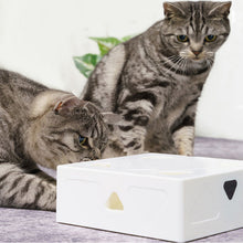 Load image into Gallery viewer, HiFuzzyPet Reachargeable Interactive Cat Toys, Pet Feather Toy