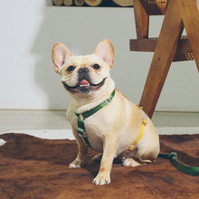 Load image into Gallery viewer, HiFuzzyPet Rainbow Easy Walk Harness for Runs, Walks, Hikes