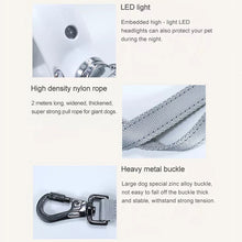 Load image into Gallery viewer, HiFuzzyPet LED Dog Leash with Hidden Garbage Bag Storage