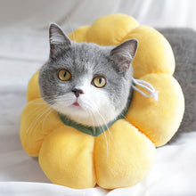 Load image into Gallery viewer, HiFuzzyPet Cute Flower Shape Cat Cone Collar, Waterproof
