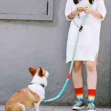 Load image into Gallery viewer, HiFuzzyPet Multifunctional 3 in 1 Hands Free Dog Leashes
