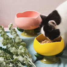 Load image into Gallery viewer, HiFuzzyPet Flower Shape Ceramic Raised Cat Bowl