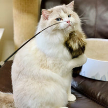 Load image into Gallery viewer, cat wand toy with fur tail