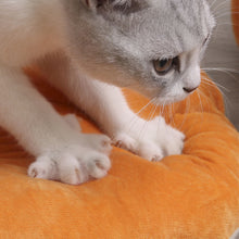 Load image into Gallery viewer, HiFuzzyPet Cactus Shaped Cat Cave Bed